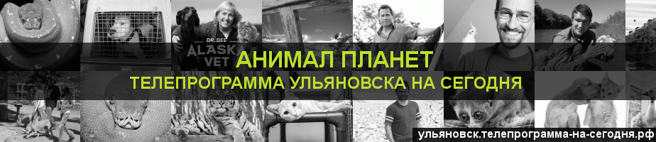 Телепрограмма на сегодня канала Анимал Планет, Ульяновск