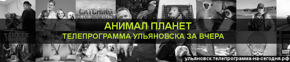 Телепрограмма за вчера канала Анимал Планет, Ульяновск