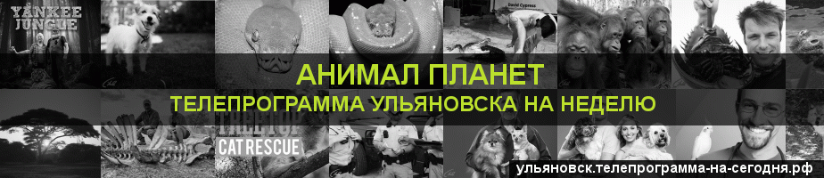 Телепрограмма на неделю канала Анимал Планет, Ульяновск